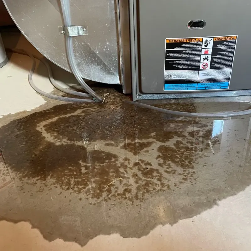 Pipe Burst and Leak Restoration in Maricao Municipio, PR